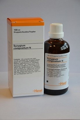 SYZYGIUM COMP N 100 ML HEEL