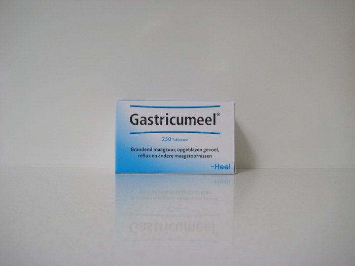 GASTRICUMEEL HEEL (250TABL)